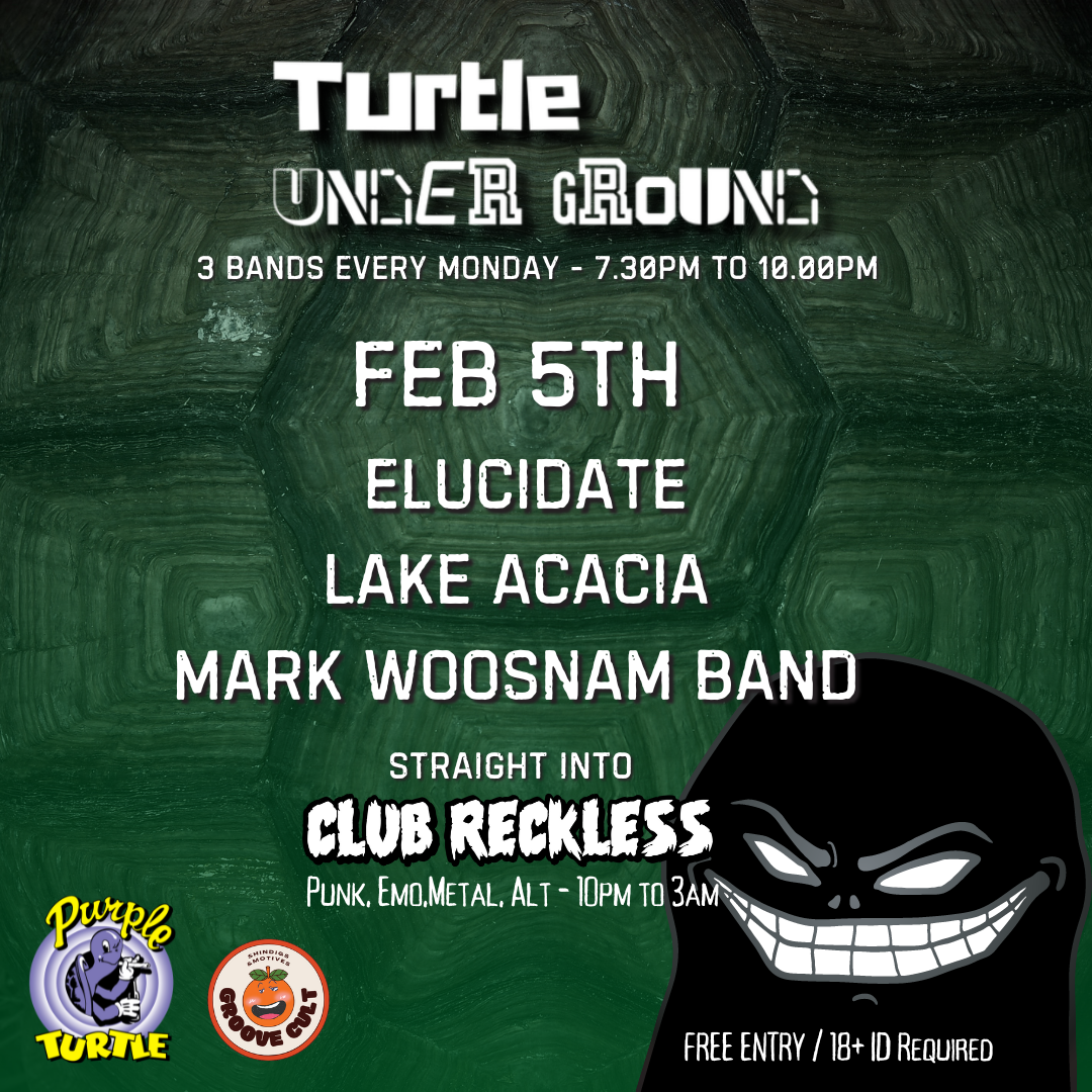 Turtle Underground What S On Reading