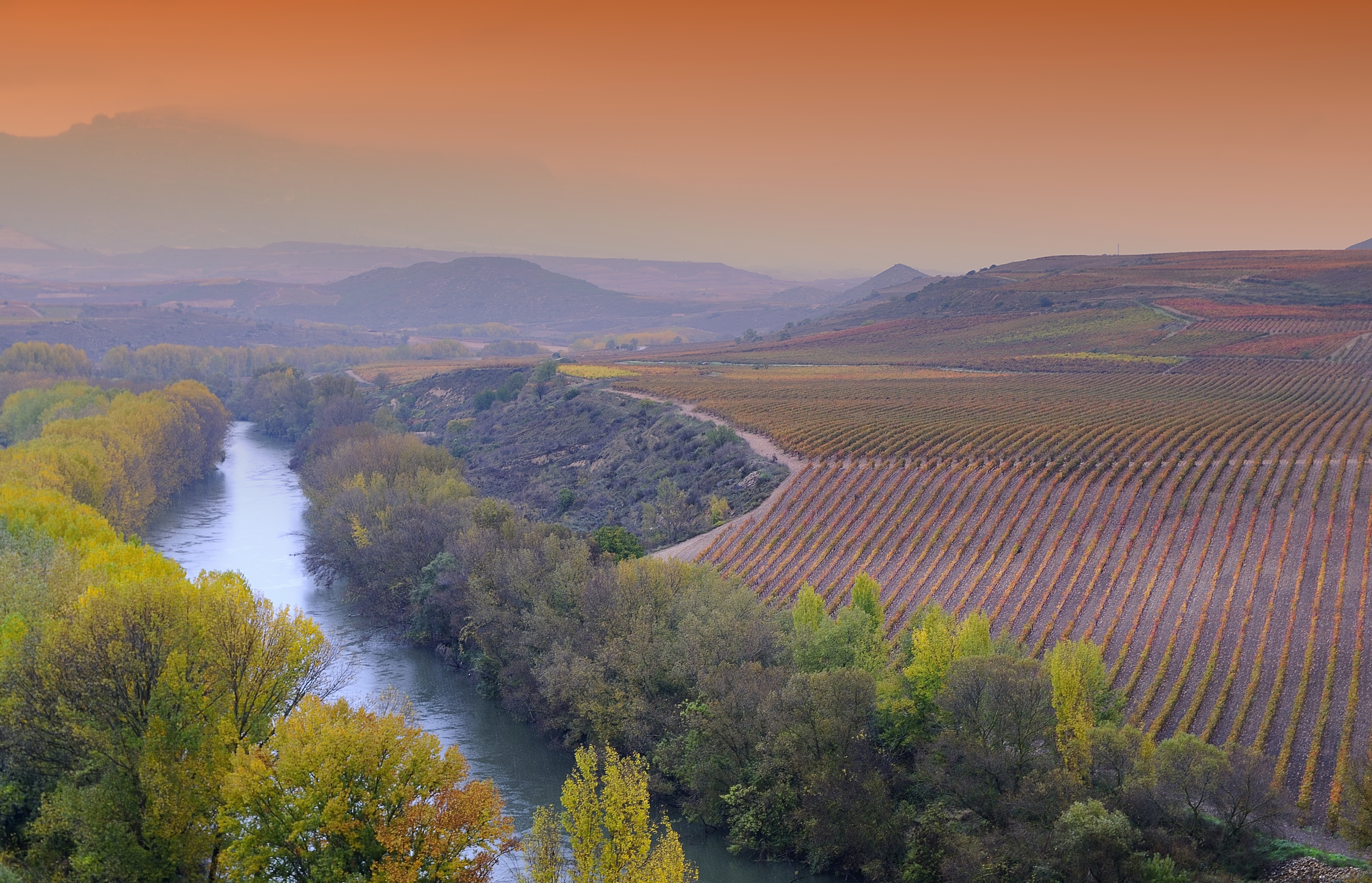 Discover the wines of Rioja! | What's On Reading