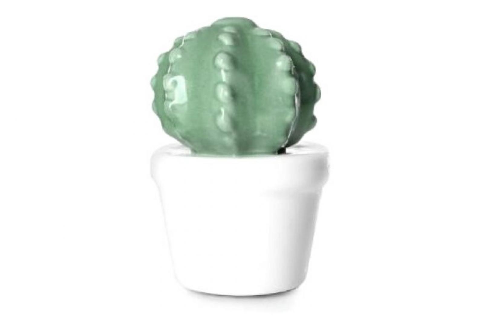 Ceramic Cactus What S On Reading