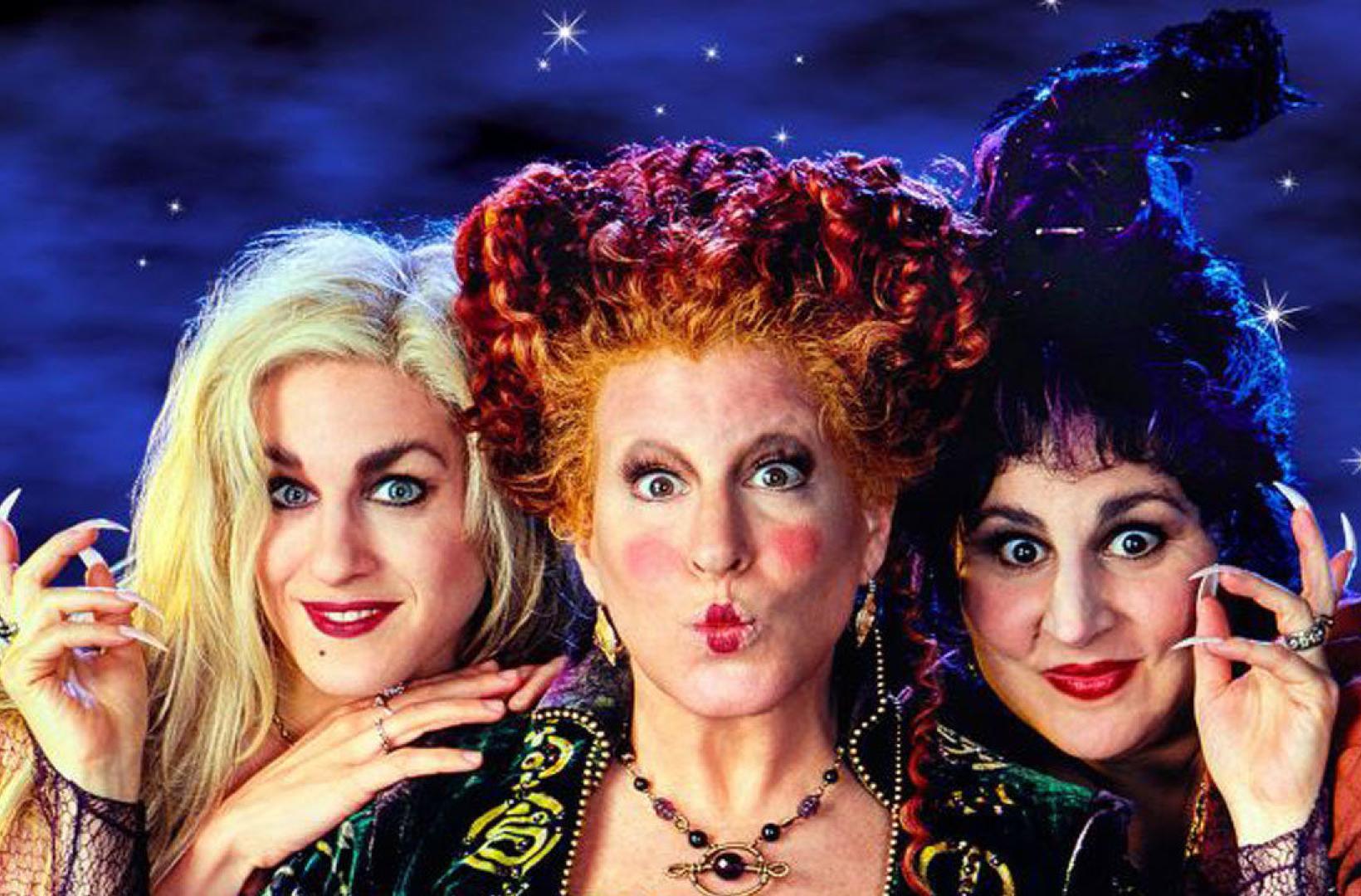 Hocus Pocus | What's On Reading