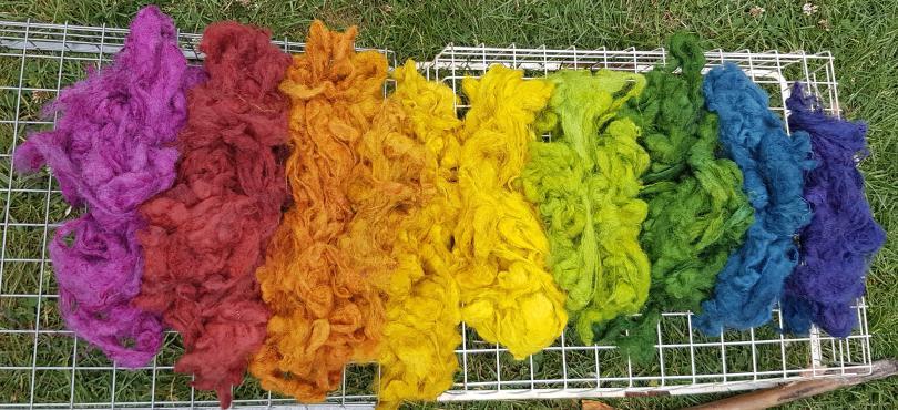 Rainbow of Natural Dyes on wool