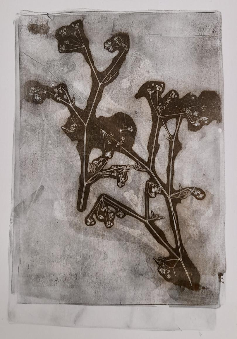 botanical print in browns, white and grey