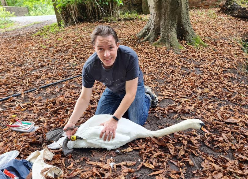 Lee Barber ringing a Mute Swan