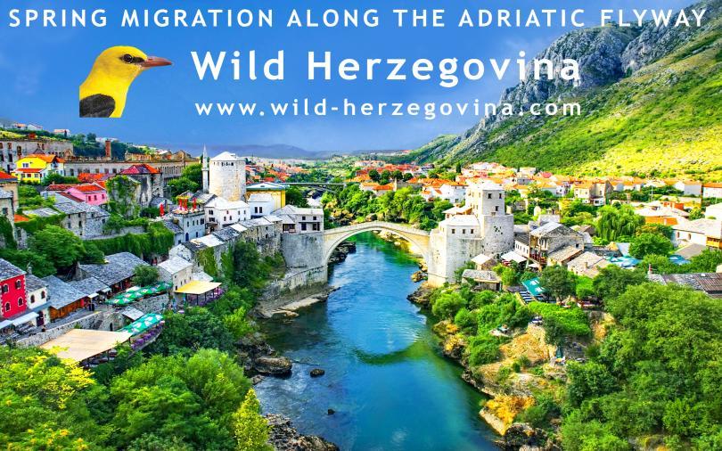 Image of Mostar bridge, Herzegovina