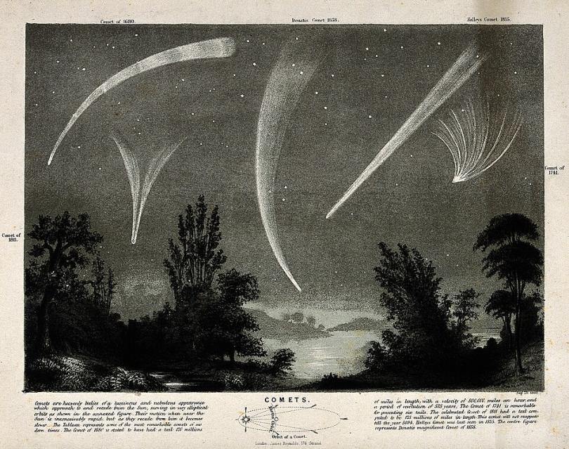 Comets in a night sky engraving