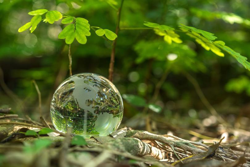 CADRA 2024 AGM & Open Meeting 