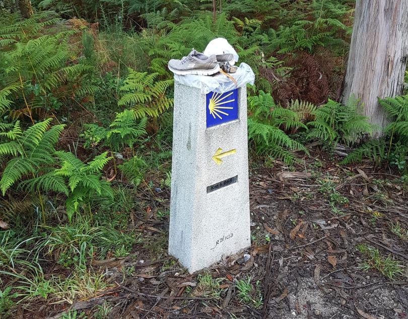 Talk: Walking the Camino de Santiago