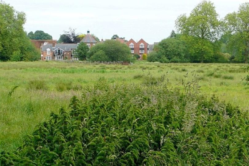 field with buidings in background