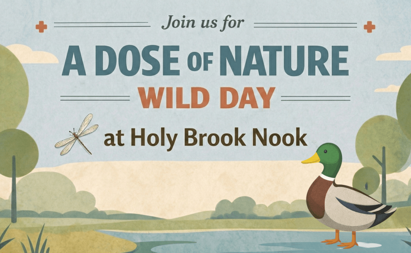 Image showing nature and a happy duck