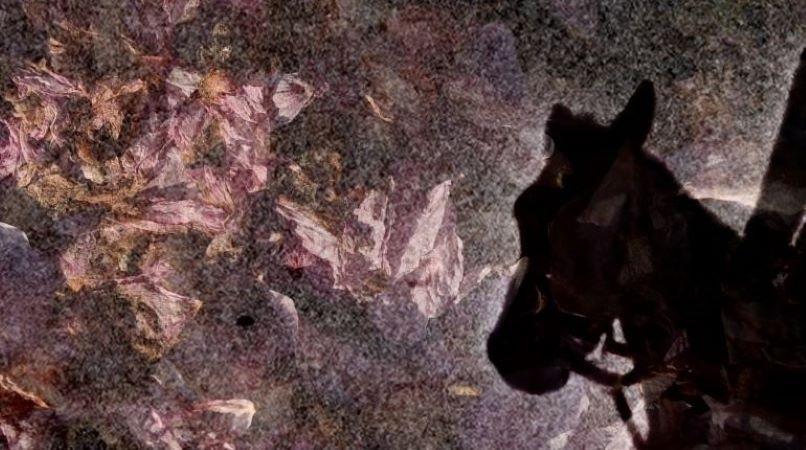 A still from the poetryfilm Fear & Yearning