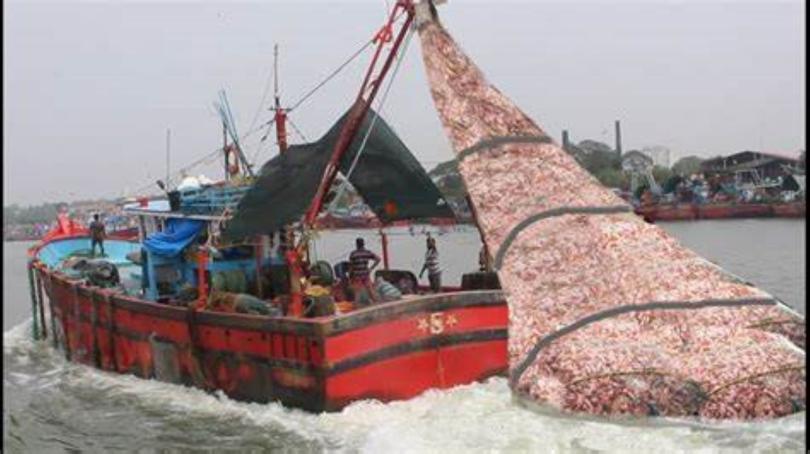 Theme Night at Readifolk