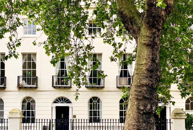 Georgian building behind tree