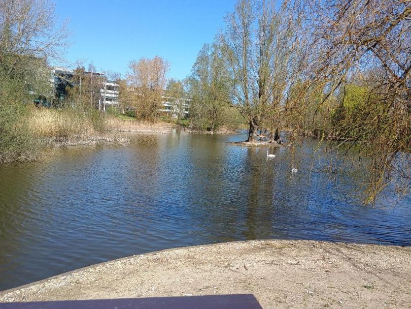Green Park lake