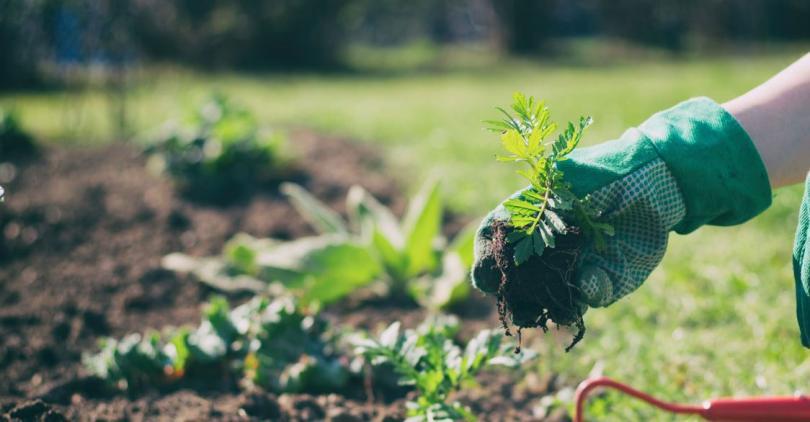 Green Health Thames Valley