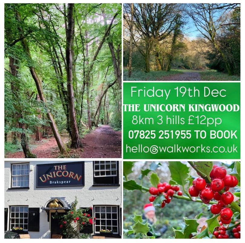 Walk Works 8km guided walk in Kingwood 19th Dec