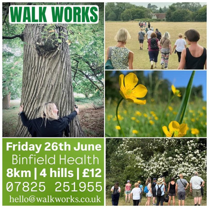 Walk Works Friday 26th June, Binfield Heath 6km