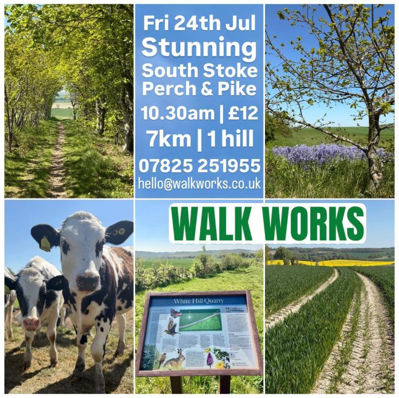 Friday 24th July - guided 7km walk in South Stoke