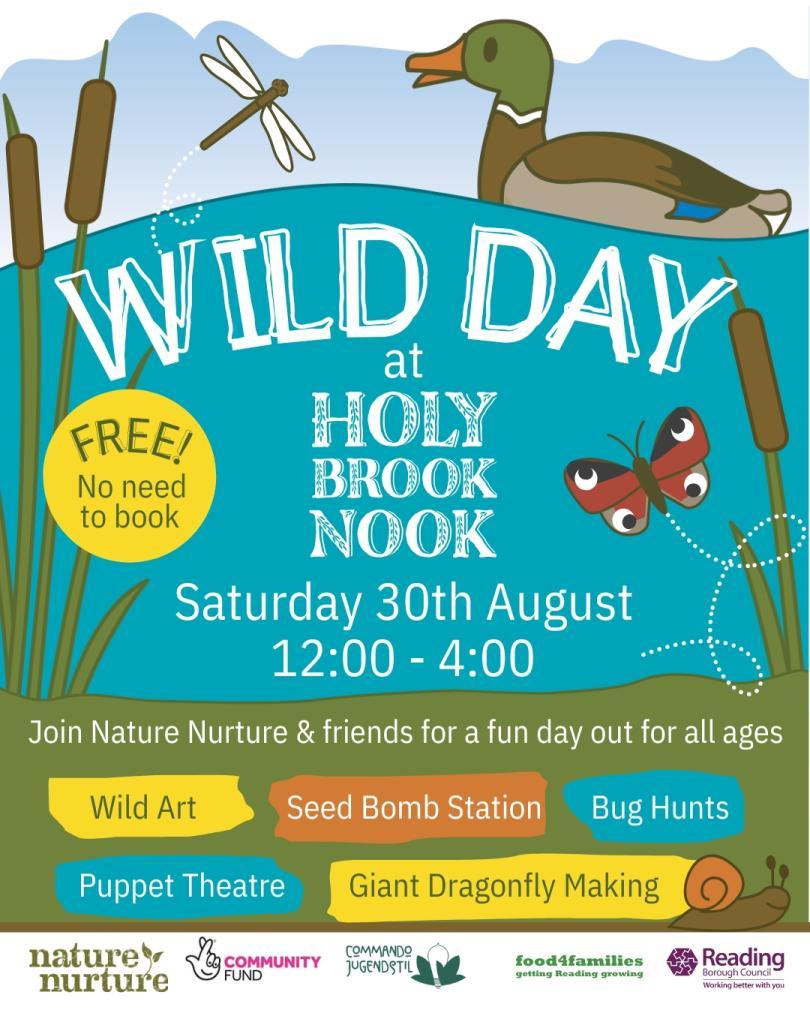 Wildlife scene with a duck swimming along the brook