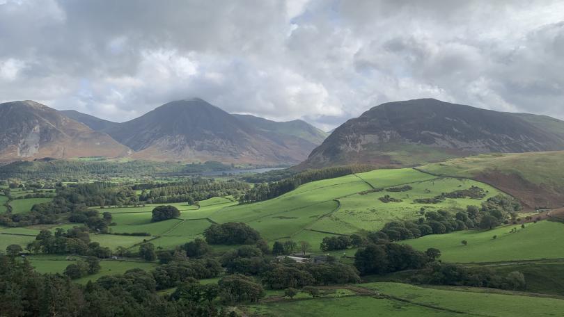 Flower Festival - Send to Keswick, ON Today!