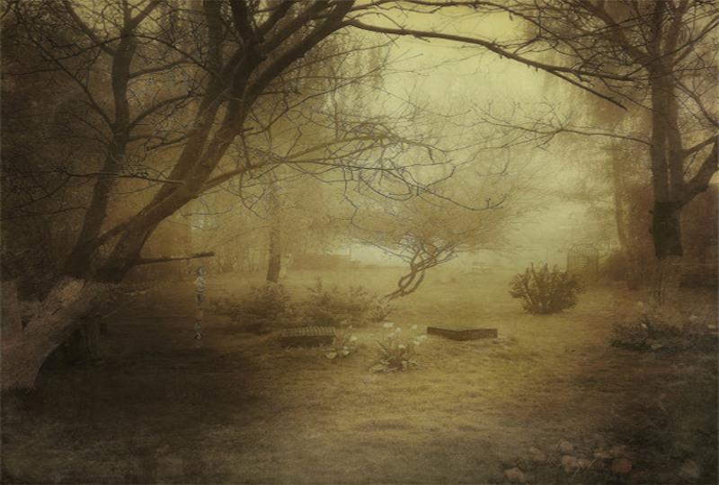 Sol 3 and We Miss You