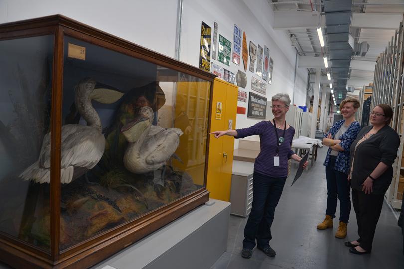 Three people looking at display cabinet at Museum's store