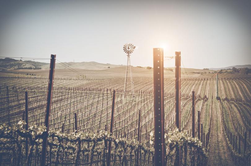 Napa