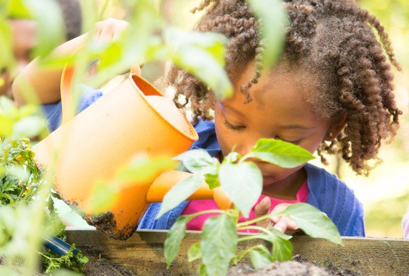 Child watering garden