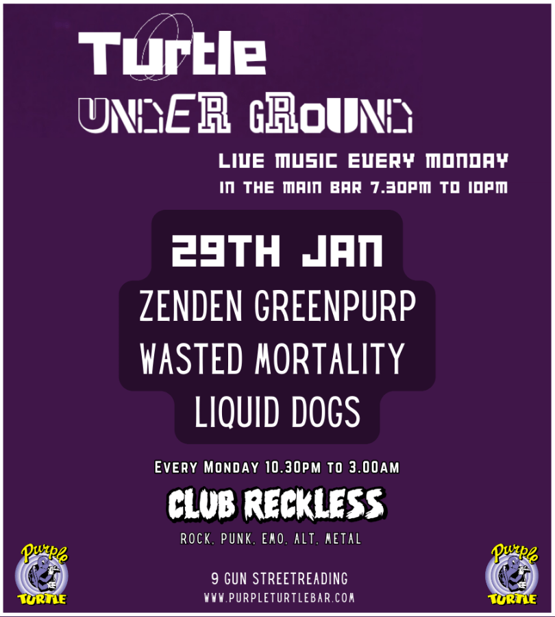 The Turtle Underground is a weekly Monday night event at The Purple Turtle. 3 Original local bands from Reading and the surrounding areas.