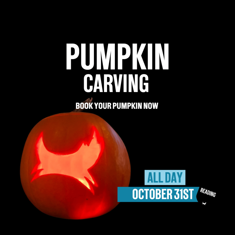 A pumpkin with the BrewDog logo carved into it, on a black background. 