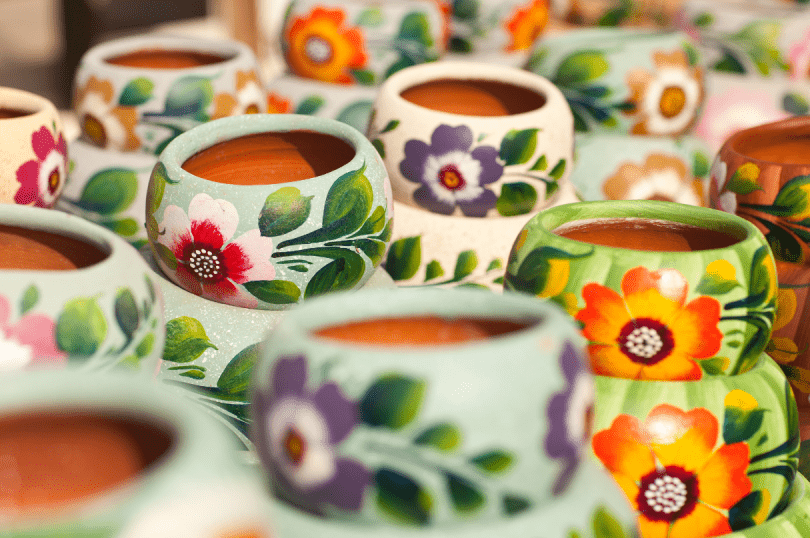 Colourful ceramic pots with flowers