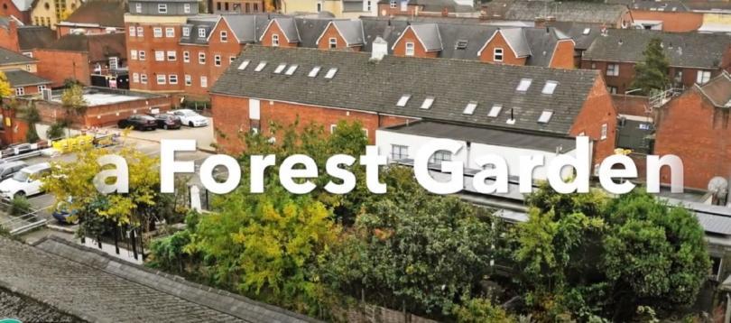 Image of Forest Garden