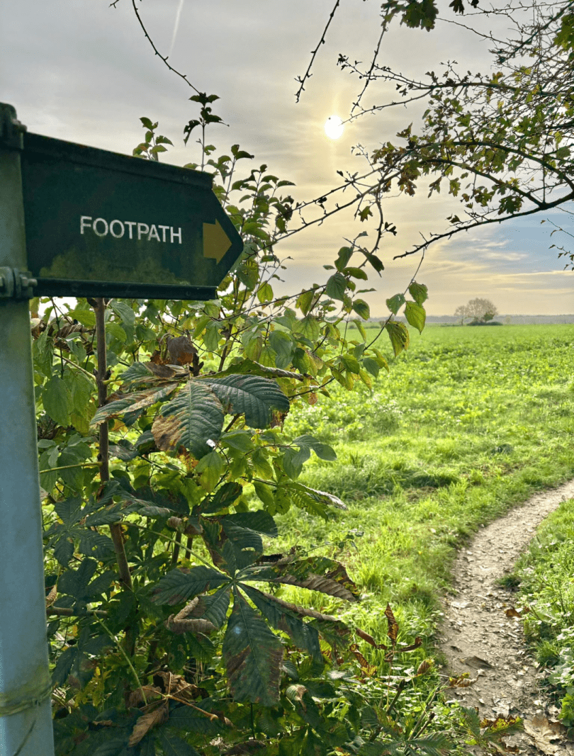 Guided walk, Friday 27th March from Caversham