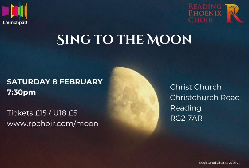 Sing to the Moon Image