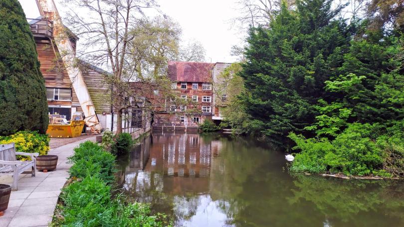 houses beside water
