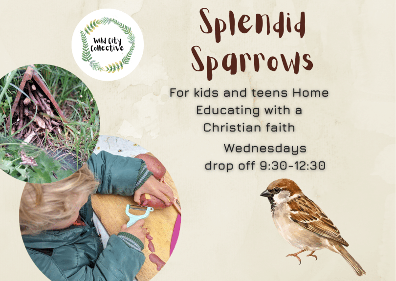 sparrows