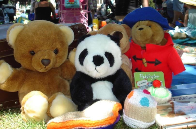 Reading Museum's Teddy Bears Picnic