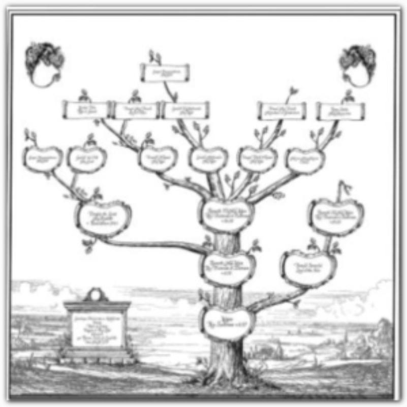 family tree