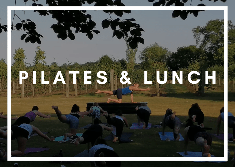 Group of people doing pilates in the vines of the vineyard
