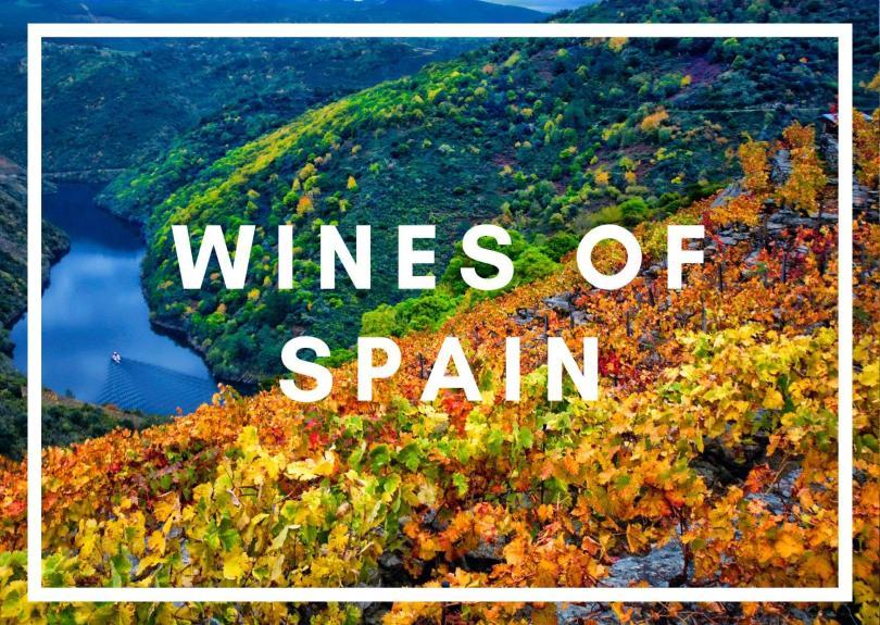 Slopes of Vines along a river, with bold white text "Wines in Spain"