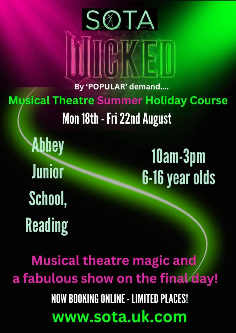 Pink and Green light shines over the SOTA logo