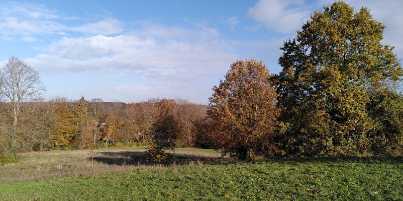 West of Reading Green and Blue Walk