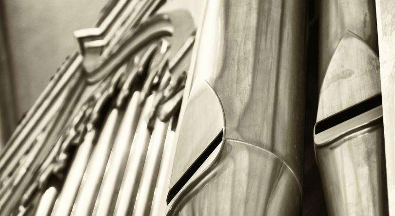 Organ Pipes