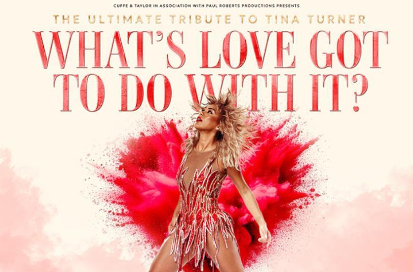 What's Love Got To Do With It?