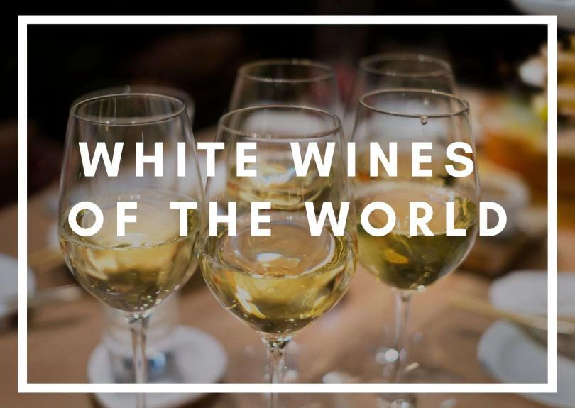 Four glasses of white wine with bold white text "white wines of the world"