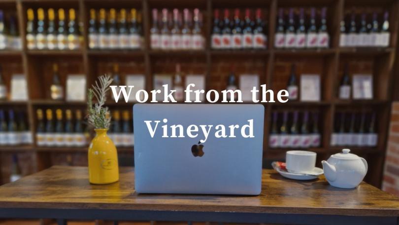 Working at the vineytard