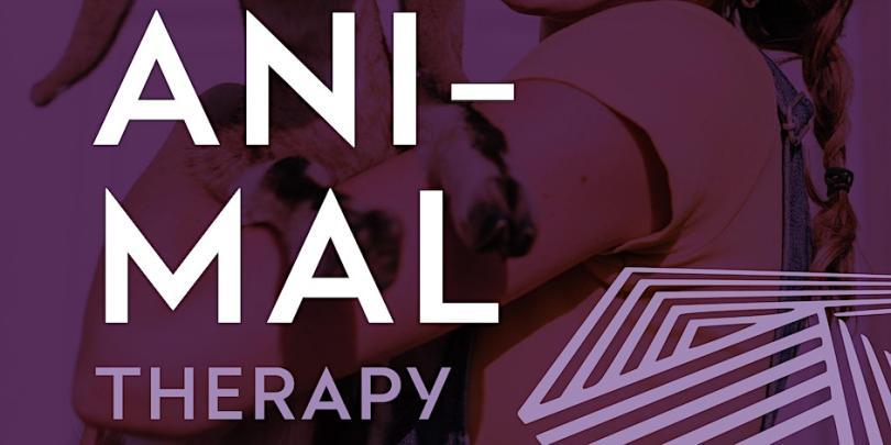 Animal Therapy Afternoon at Thames Valley Park