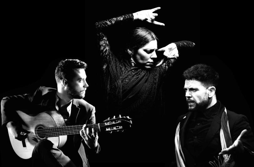 Art of Andalucia: Flamenco Dance