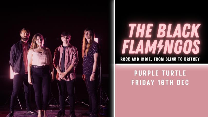 The Black Flamingos at Purple Turtle, Reading