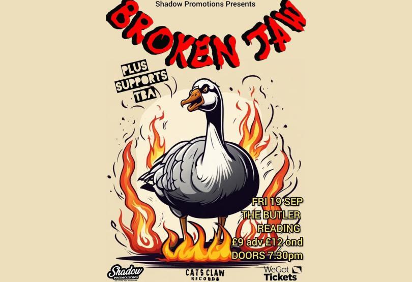 a drawing of a duck on fire