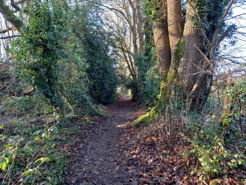 South Oxfordshire Woods and Fields